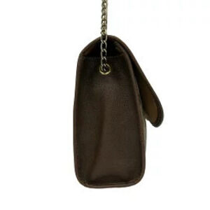 Gucci Shoulder Bag Chain Strap Beige Dark Brown Multi Leather